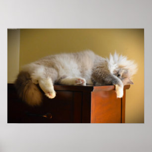 Tage, Poster