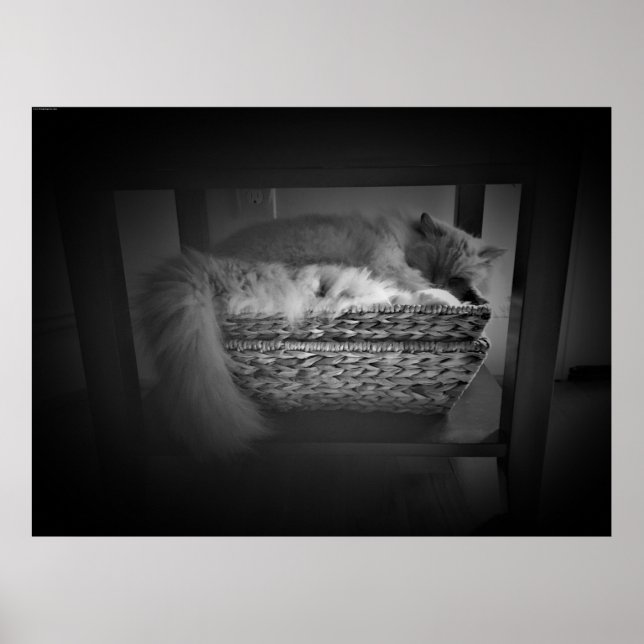 Tage, Poster (Vorne)