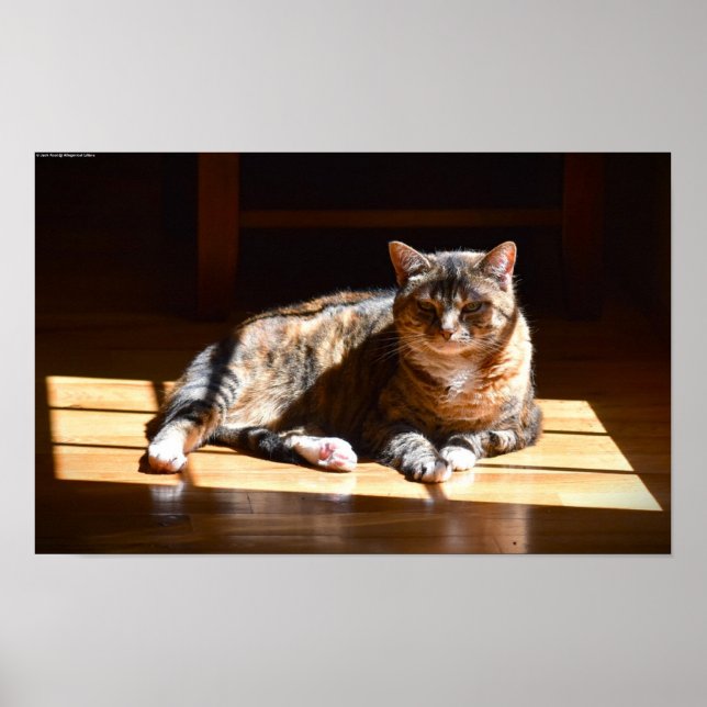 Tage, Poster (Vorne)