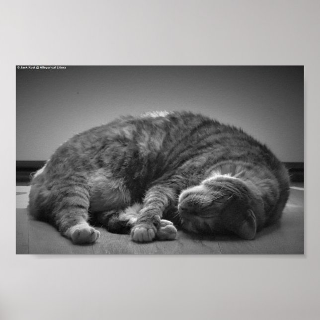 Tage, Poster (Vorne)