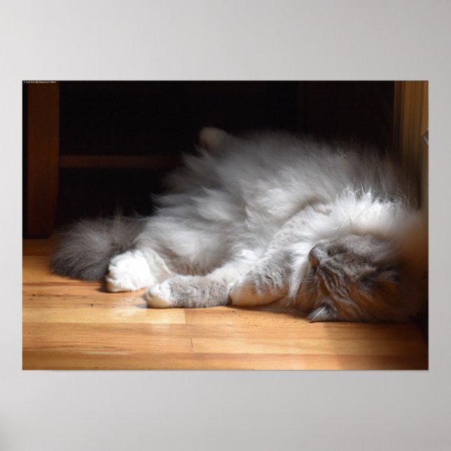 Tage, Poster (Vorne)