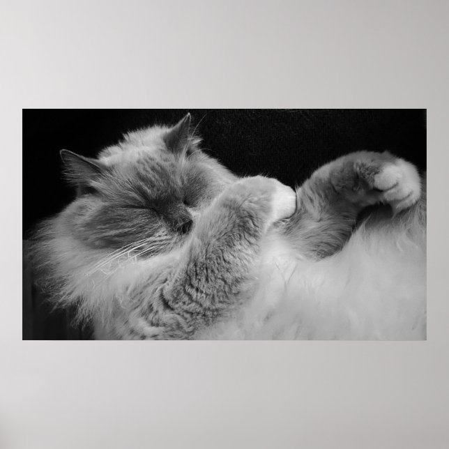 Tage, Poster (Vorne)