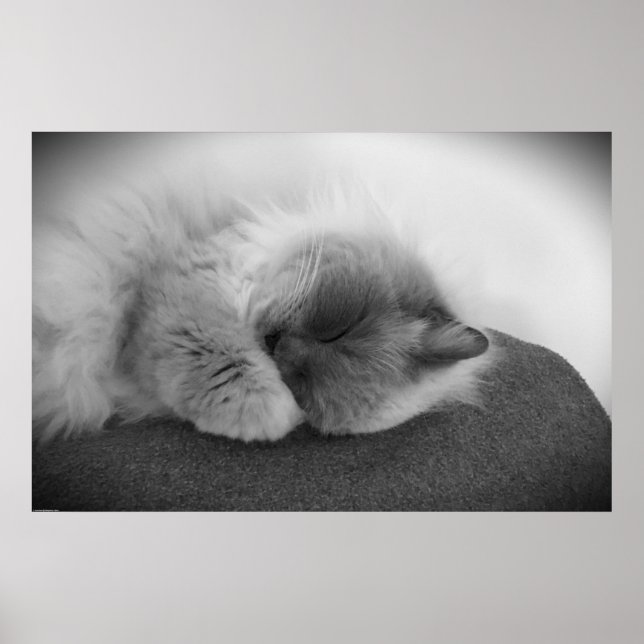 Tage, Poster (Vorne)