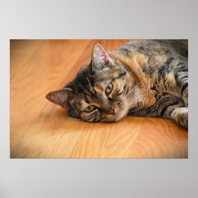 Tage, Poster (Vorne)