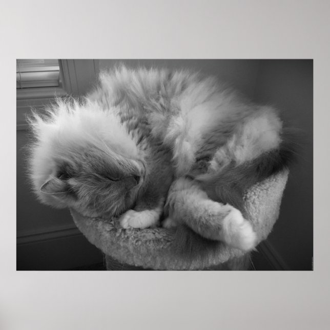 Tage, Poster (Vorne)