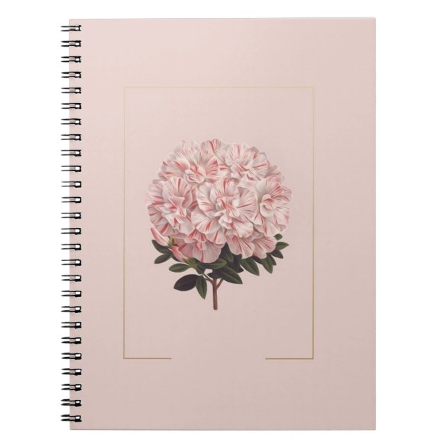 Tagebuch (Vorderseite)