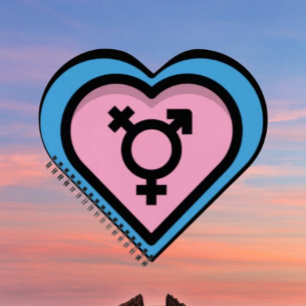 Tagebuch mit Spirale 'Herz des Trans Stolzes'