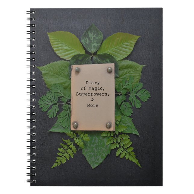 Tagebuch von Supermächten (Vorderseite)