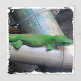 Tagesgecko-Quadrat-Einladungen Madagaskars riesige Einladung