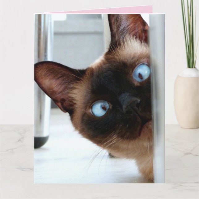 TAGESKARTE DER MUTTER NIEDLICH PEEKING CAT GREETIN KARTE (Vorderseite)