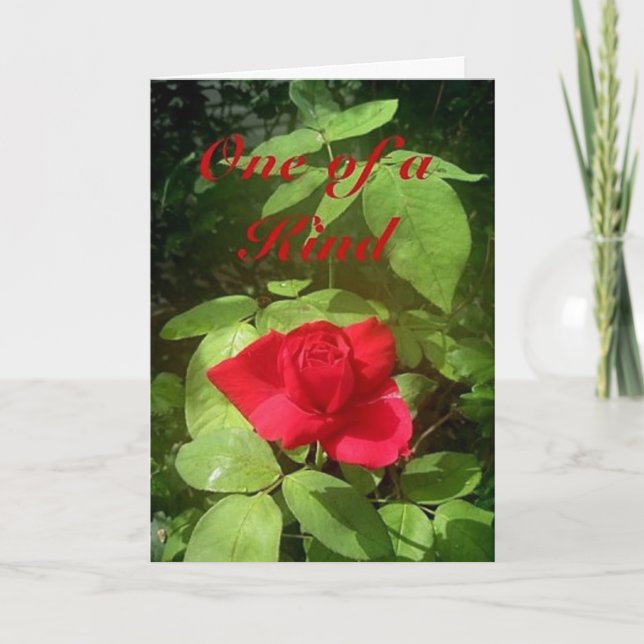 Tageskarte der Rose Karte (Vorderseite)