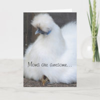 Tageskarte für niedliche Küken/Hühner