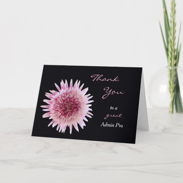 Tageskarte Gerber Daisy Dankeskarte (Vorderseite)