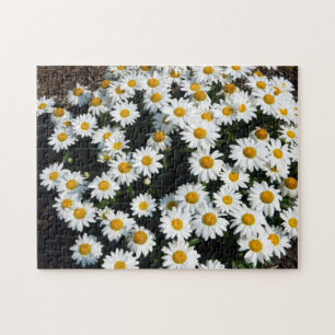 Tageslicht Puzzle