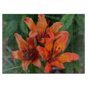 Tageslilie Orange Kanadische Blumenfotografie Schneidebrett