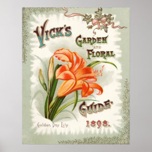 Tageslilien-Samen-Paket-Vintager Druck Poster