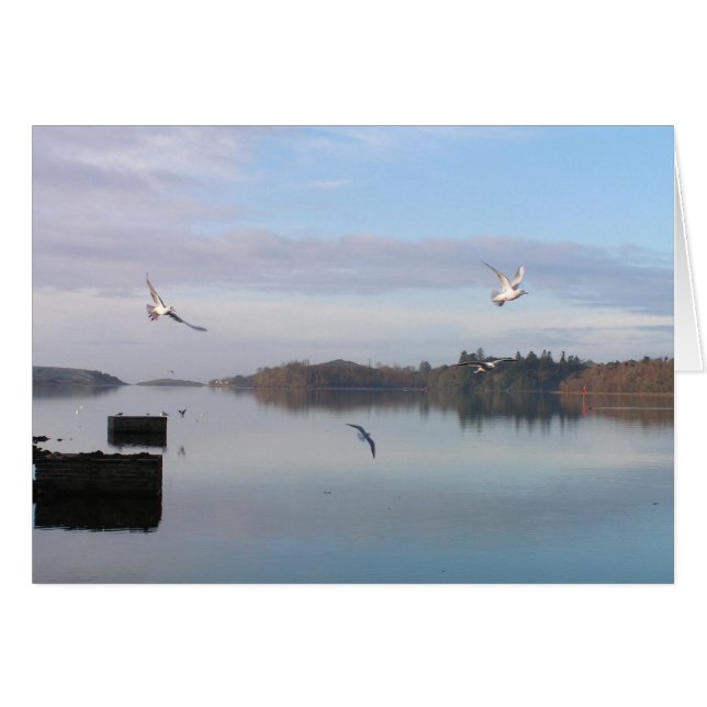 TAGESTAG, DONEGAL BAY (Vorderseite (Horizontal))