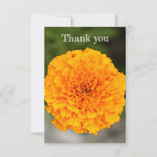 Tagetes-Flach-Dankeskarten Dankeskarte