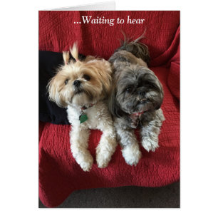 Tägliche Karten-Anmut u. Ruhm