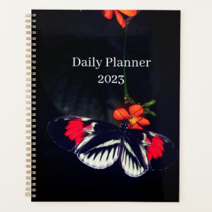 Täglicher Schmetterlingsplaner 2023 Planer