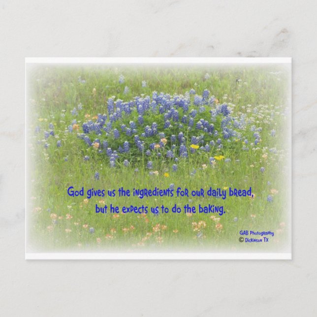 Tägliches Brot Postkarte (Vorderseite)