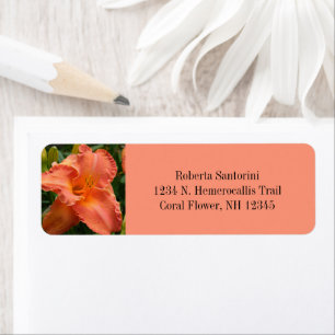 Taglilie Blume Blossom / Hemerocallis / Korallen