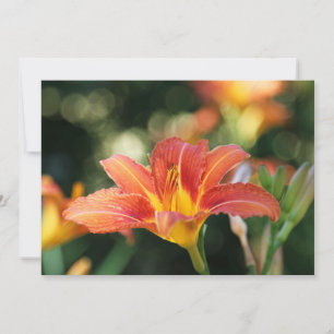 Taglilie Blume Flat Dankeschön Karte