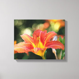 Taglilie Canvas Leinwanddruck