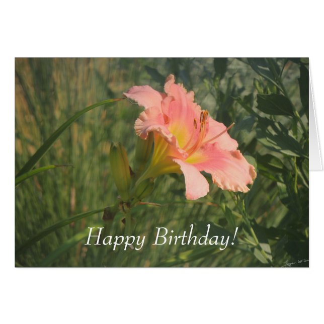 Taglilie der Sonne (Vorderseite (Horizontal))