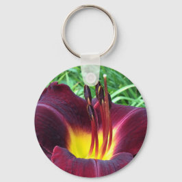 TAGLILIE "Dominic" B Dunkler Wein. Schlüsselanhänger