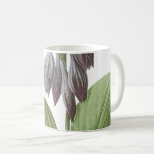 Taglilie (Hemerocallis caerulea) von Redouté Kaffeetasse