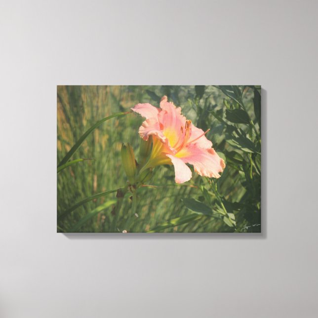 Taglilie in sonnenverwüsteten Leinwänden Leinwanddruck (Vorderseite)