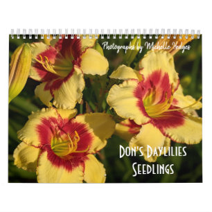 Taglilie Kalender