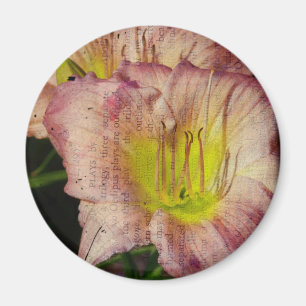 Taglilie Magnet