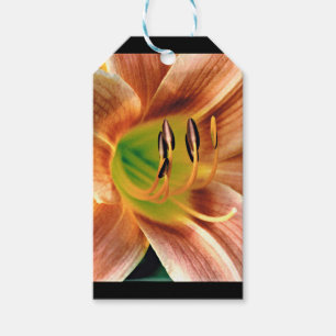 Taglilie Makro Geschenkanhänger