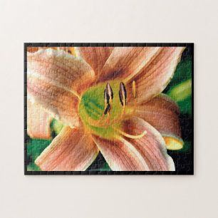 Taglilie Makro Puzzle
