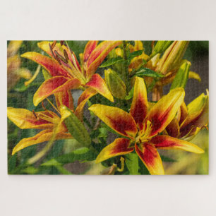 Taglilie Orange Canadian Flower Fotografy Puzzle