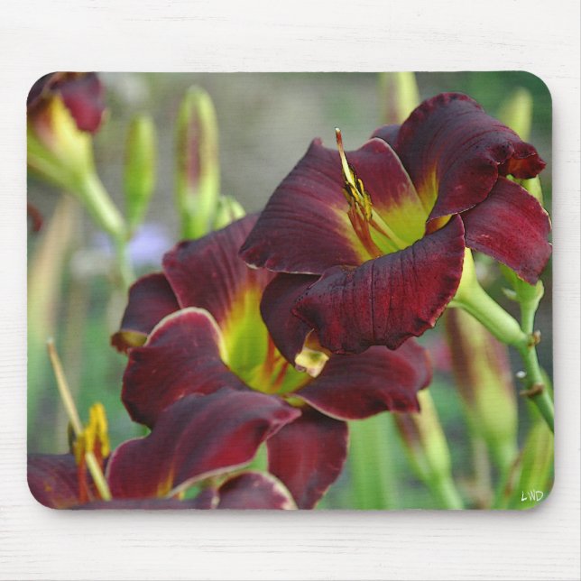 Taglilie 'Vintages Bordeaux Mousepad (Vorne)