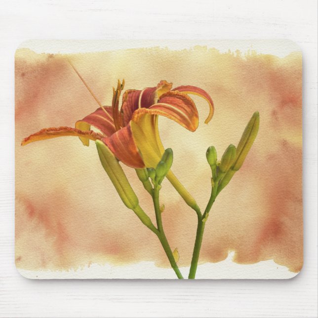 Taglilien - Hemerocallis Mousepad (Vorne)