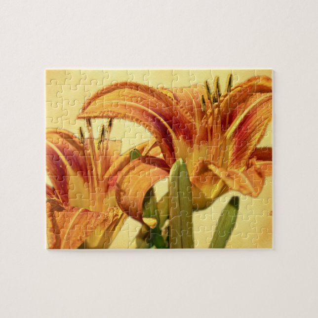 Taglilien - Hemerocallis Puzzle (Horizontal)