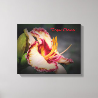 Taglilien-Kunst 'Triple Cherries' Leinwanddruck