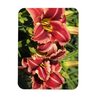 Taglilien Magnet