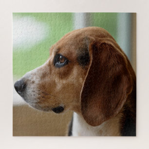 Tagträumender Beagle Puzzle
