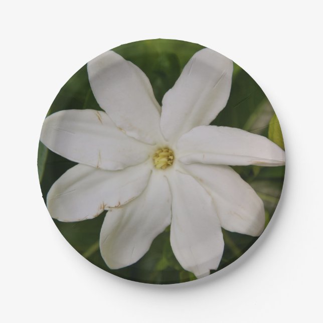 Tahitian Gardena PapierTeller (Vorderseite)