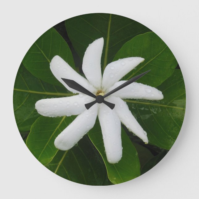 Tahitian Gardenia Große Wanduhr (Vorderseite)