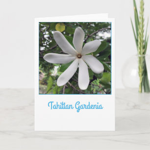 Tahitian Gardenia Karte