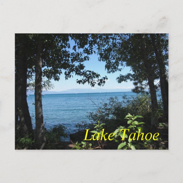 Tahoe Blue Postcard Postkarte (Vorderseite)