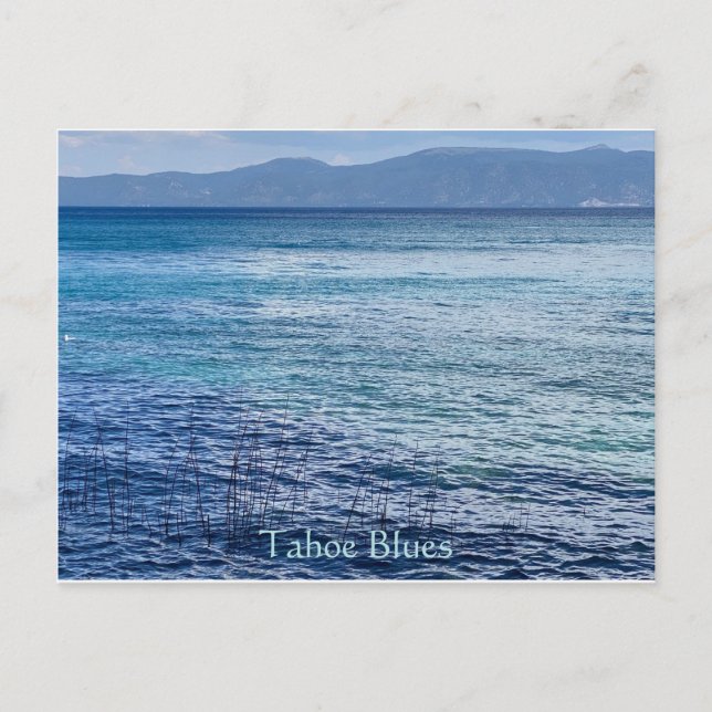 Tahoe Blues Postcard Postkarte (Vorderseite)