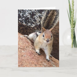 Tahoe-Eichhörnchenmerkkarte<Blank Inside> Einladung