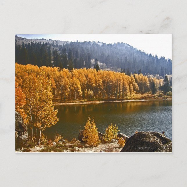 Tahoe im Herbst / Winter Landschaft Postkarte (Vorderseite)